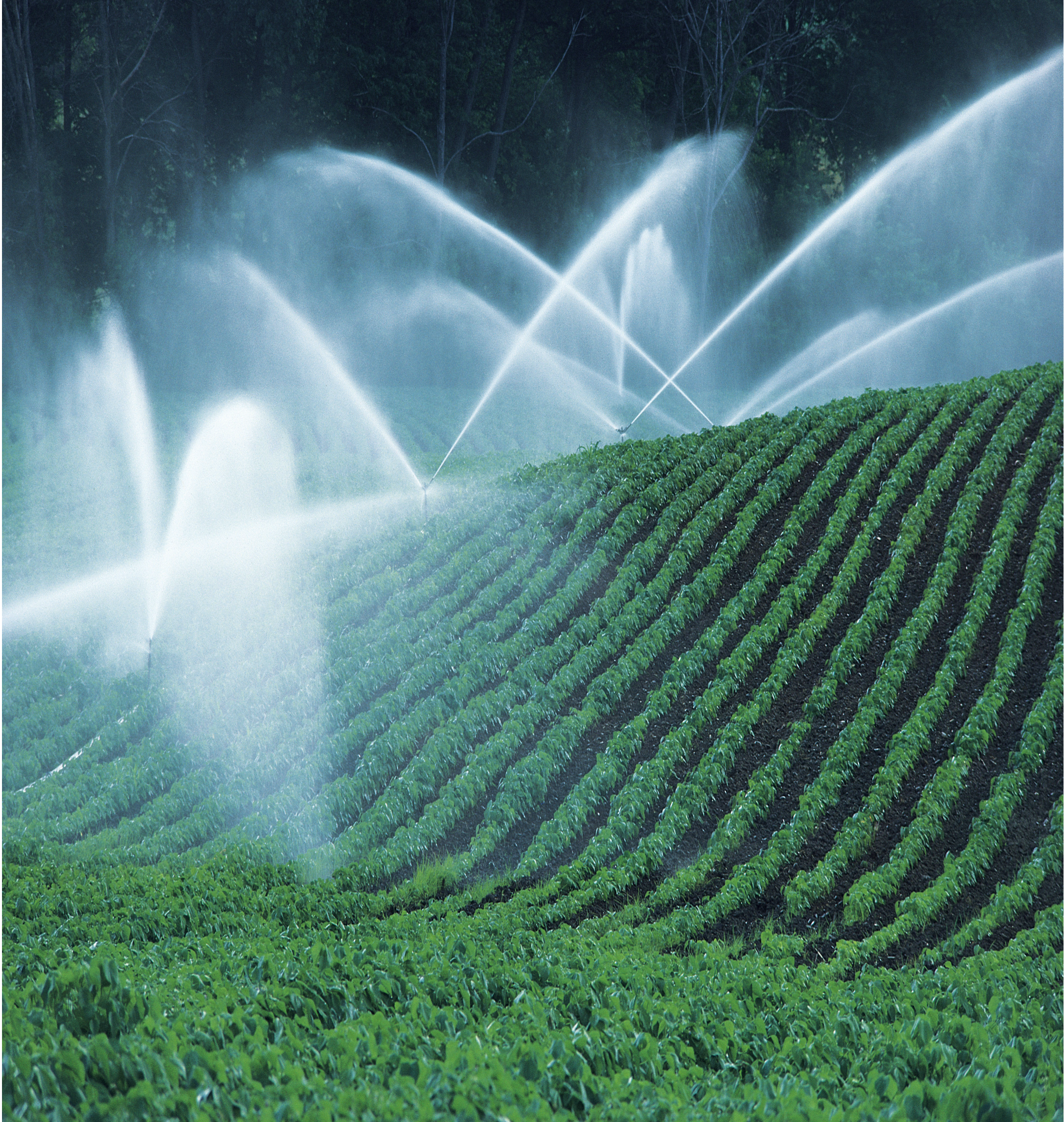 AGRICULTURE AGRICULTURE
